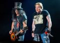 axl-rose-ballena