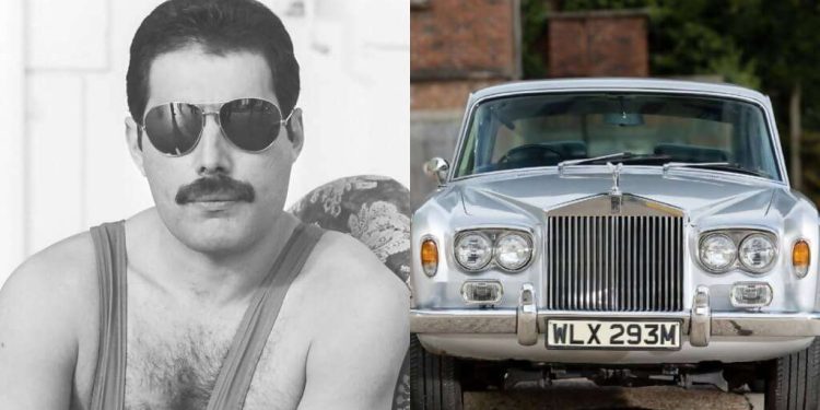 freddie-auto-rb